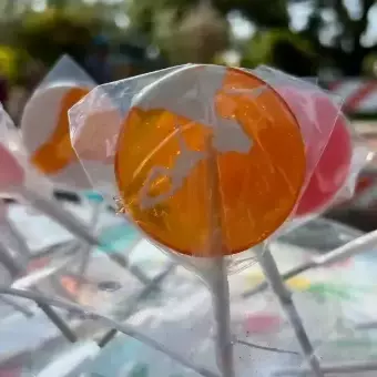 Bubble Gum Flavor Bubble Gum Flavor