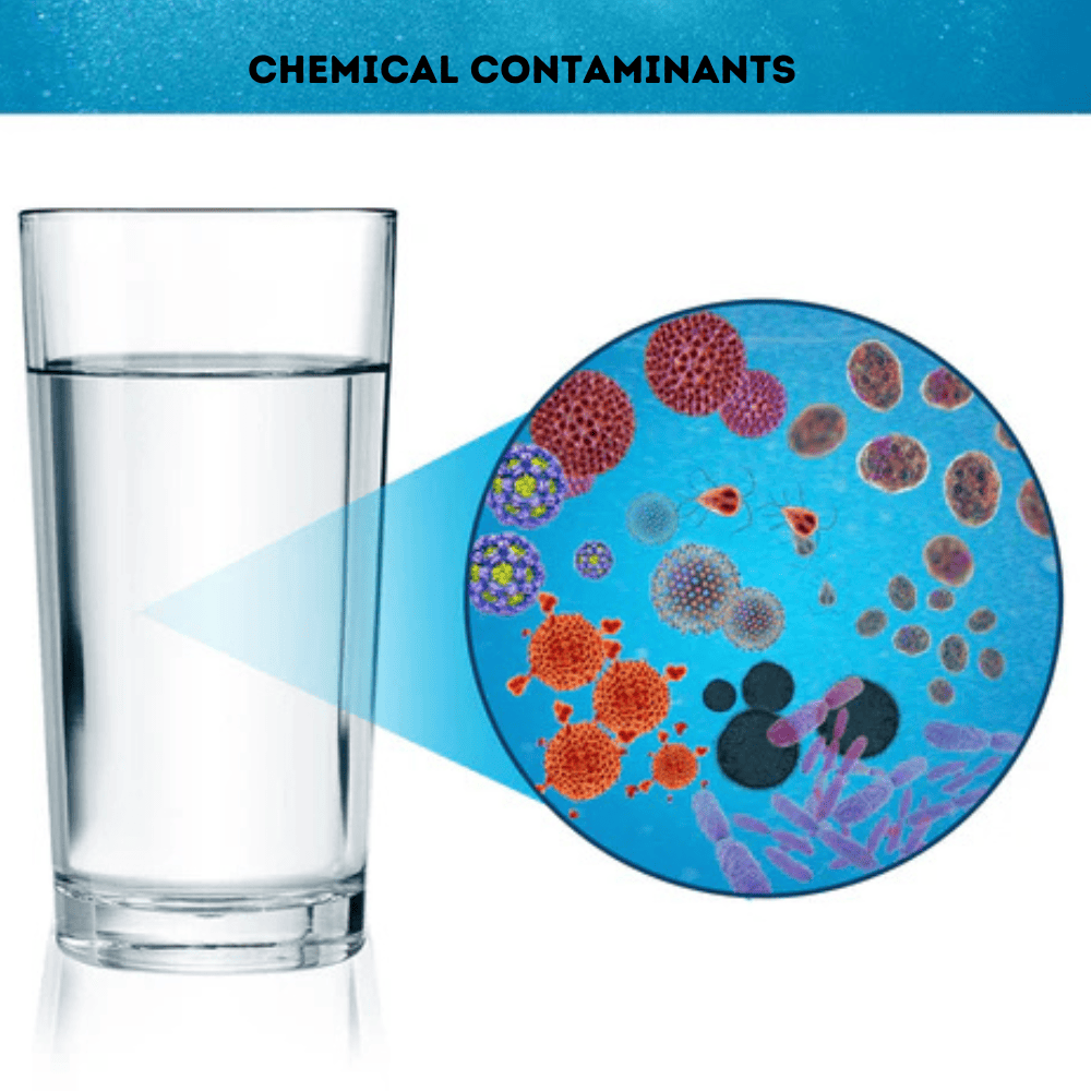 Chemical Contaminants Chemical Contaminants