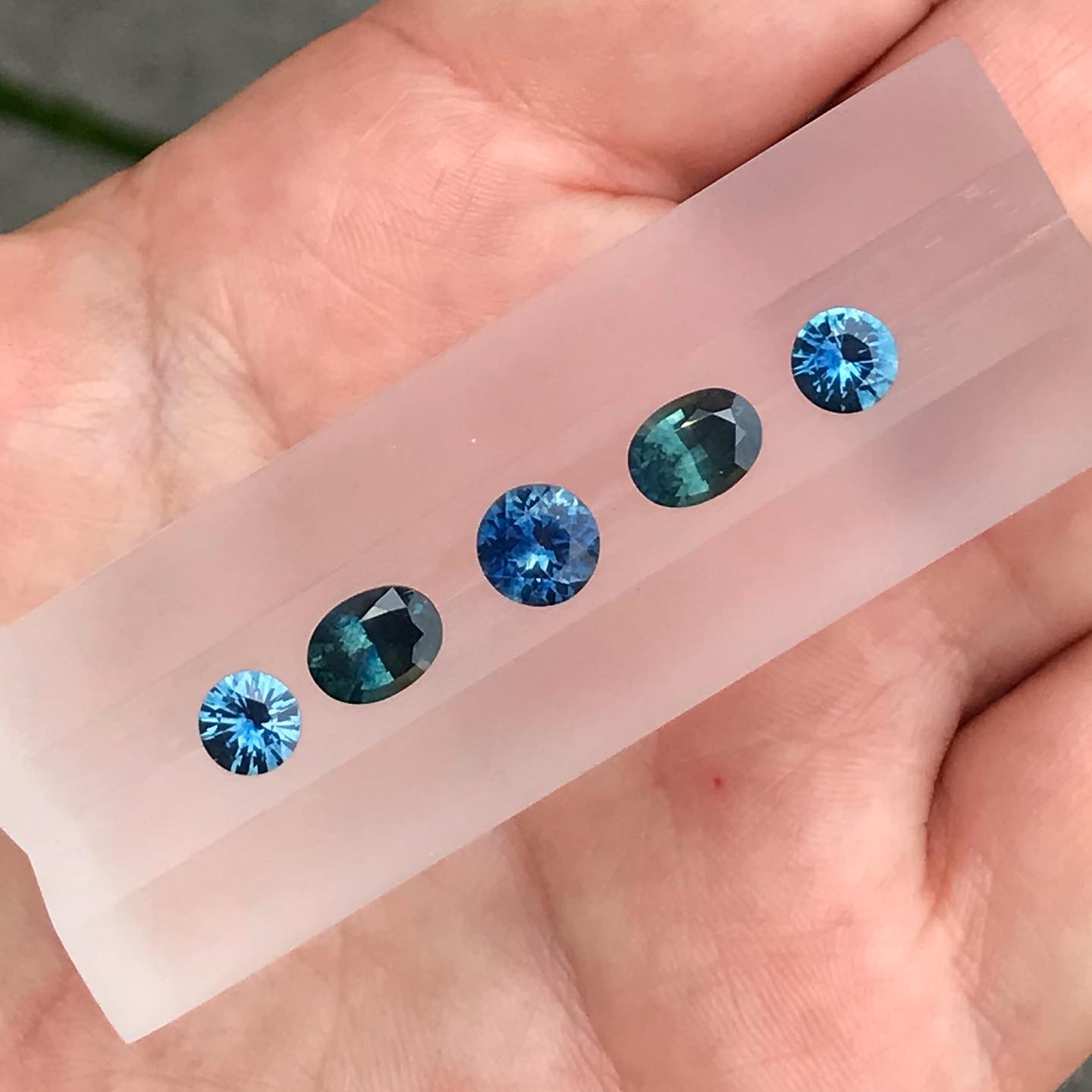 looking to the future looking to the future