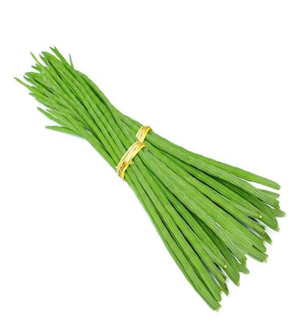 Moringa Moringa