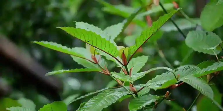 brat green made it on the billboards brat green made it on the billboards