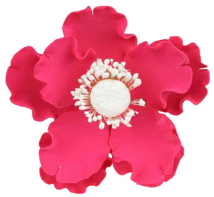 Icing & Gumpaste Flowers