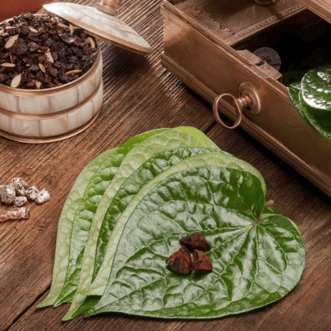 Outdoor Activities Outdoor Activities