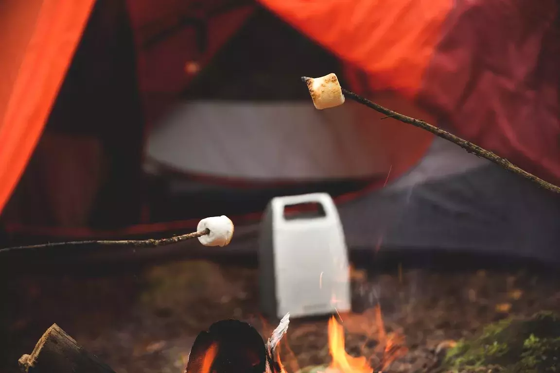 Kicker Bullfrog Bluetooth Speaker Kicker Bullfrog Bluetooth Speaker