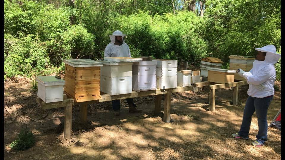 Honey Strong photo 14