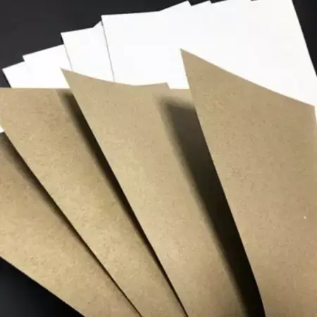 White-top kraft board ideal for printing and branding White-top kraft board ideal for printing and branding