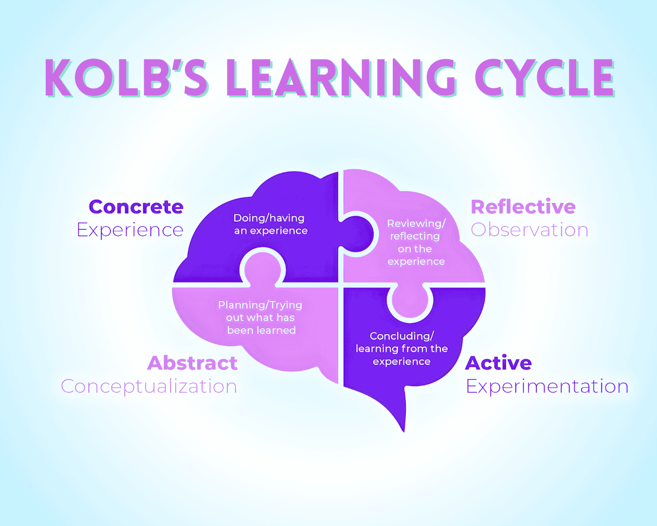 Experiential Learning Cycle Integration