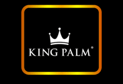 mit therapy mit therapy