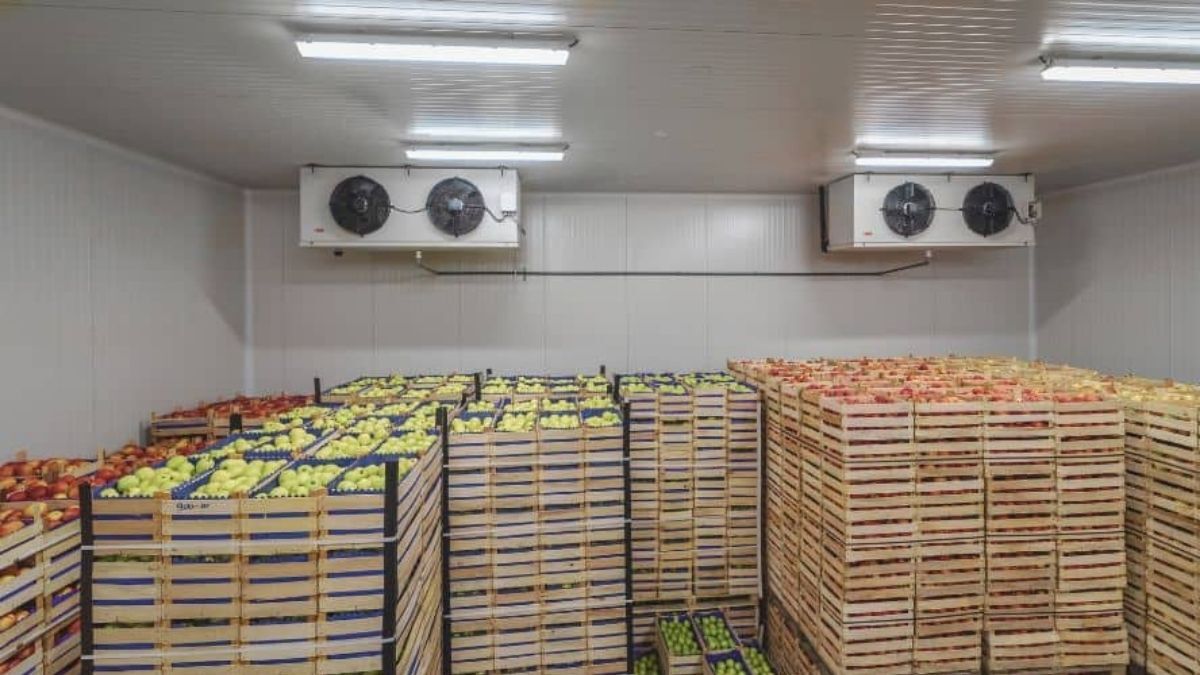 Cuarto frío de conservación