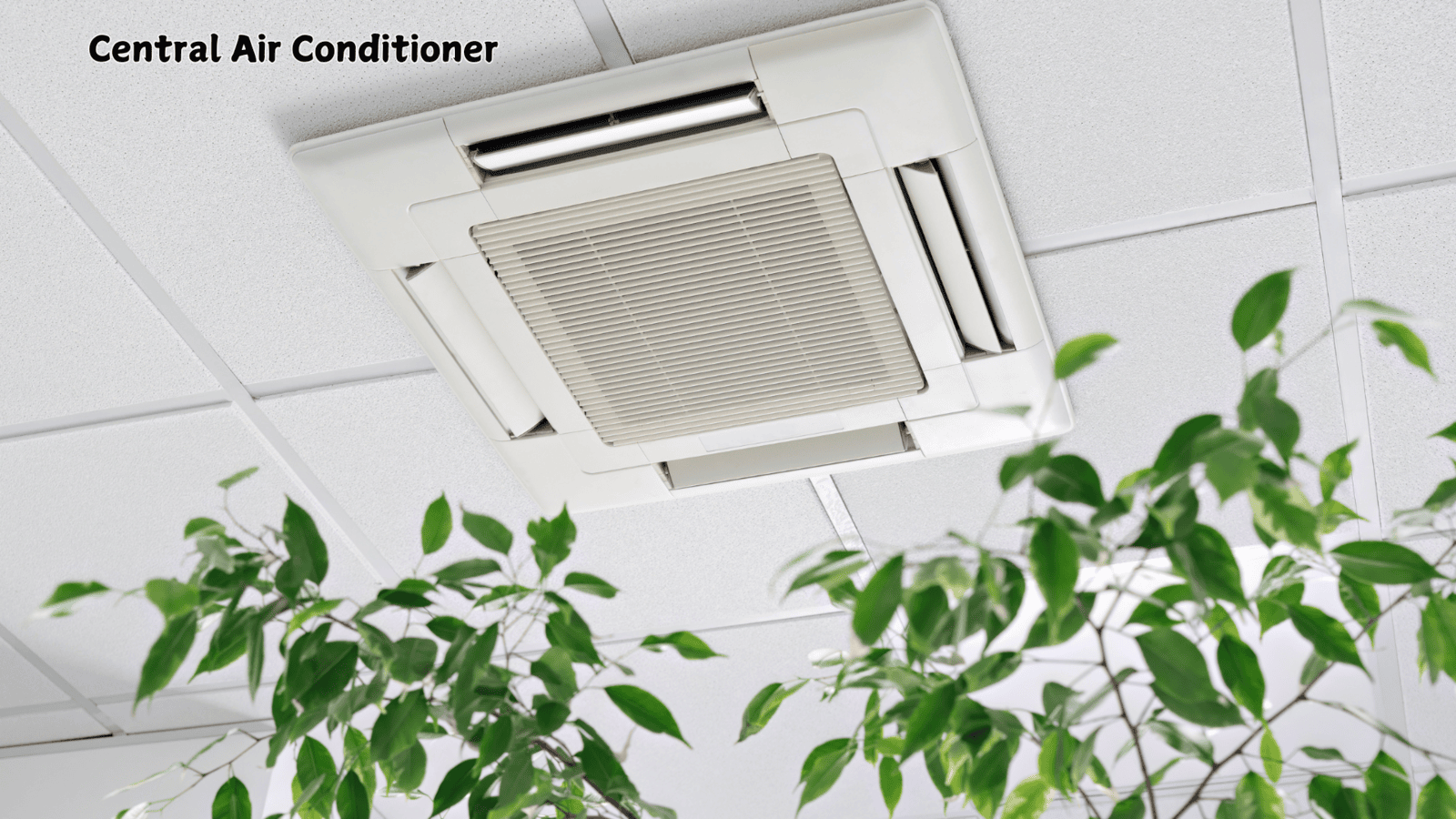  Central AC: Whole-Home Cooling Efficiency