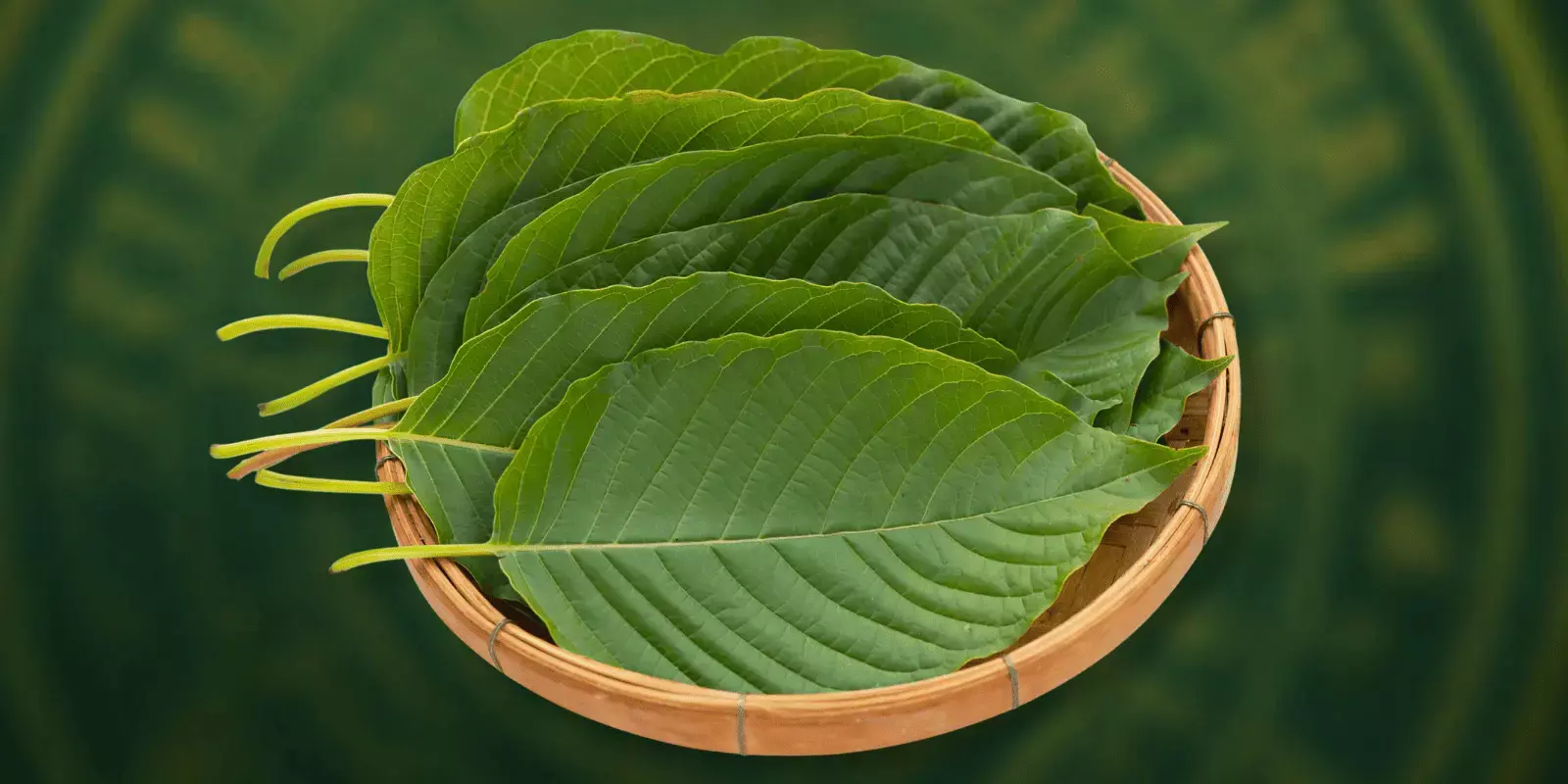 the fda and kratom discussion