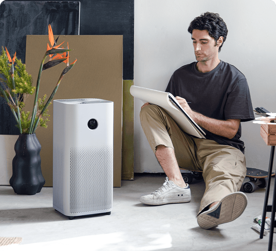 Air Purifiers and Indoor Air Quality Air Purifiers and Indoor Air Quality