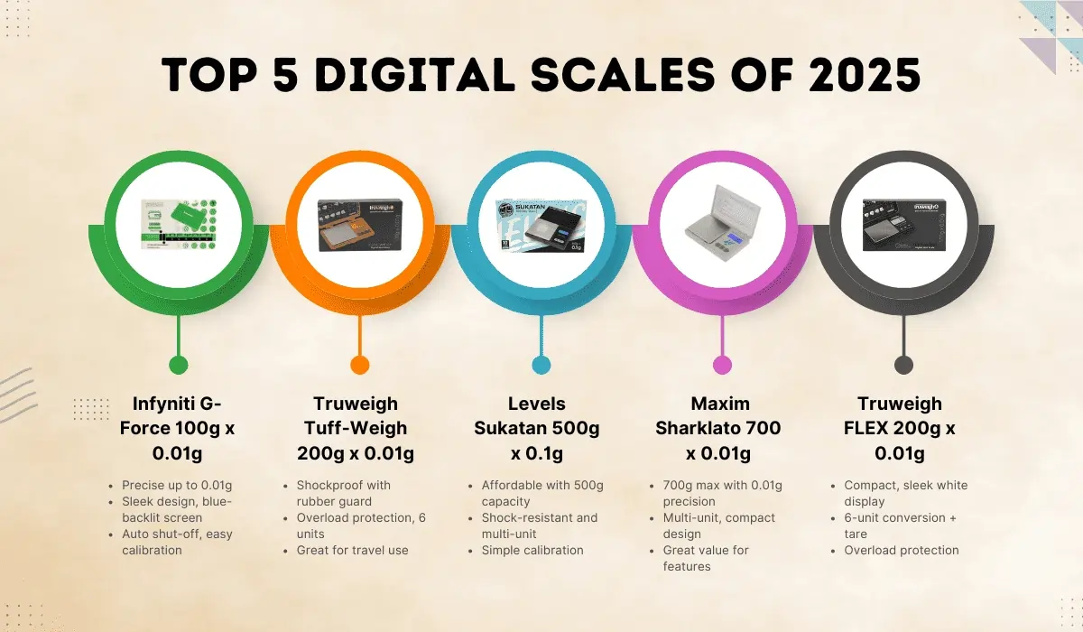 top digital scales of 2025