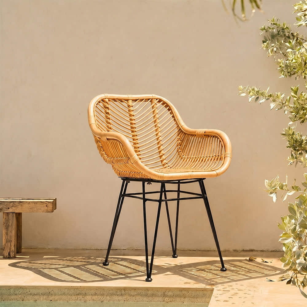 Cafe Chairs