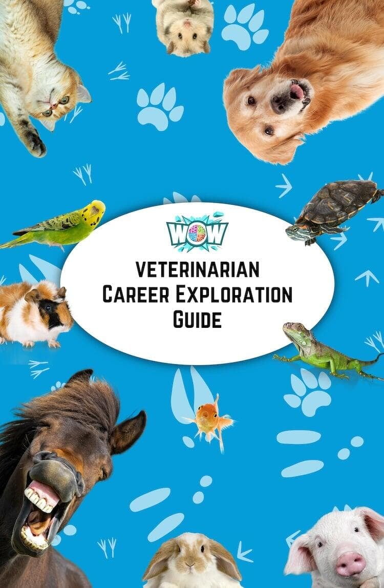 Veterinary 