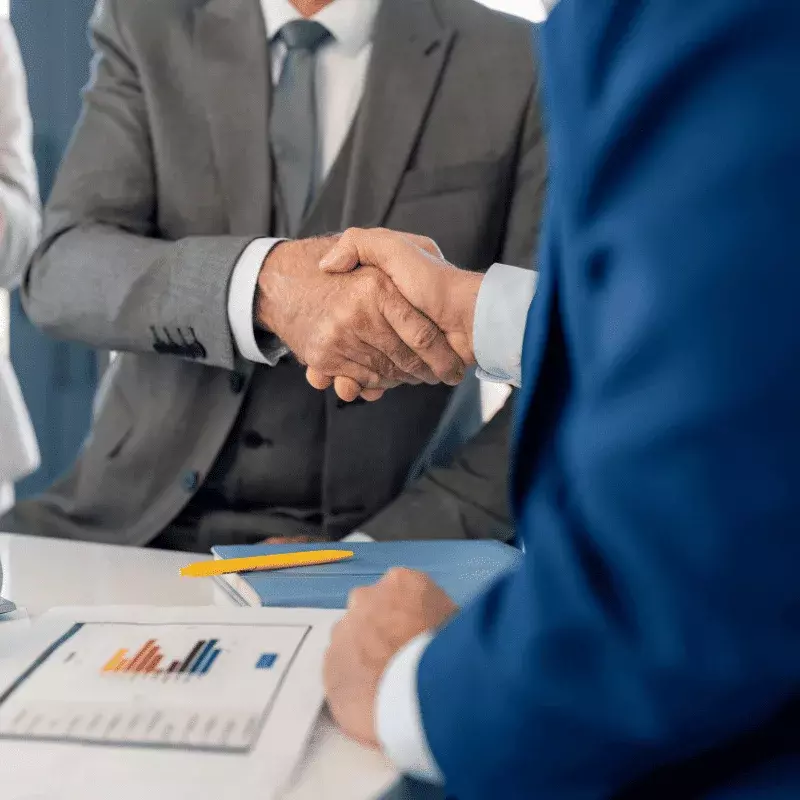 What Makes King Palm The Brand Customers Trust