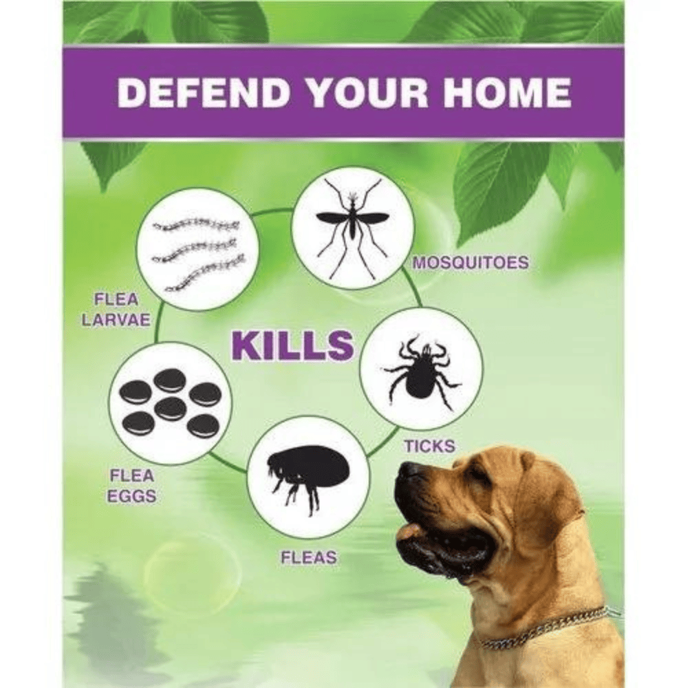 safe insect killer for pets