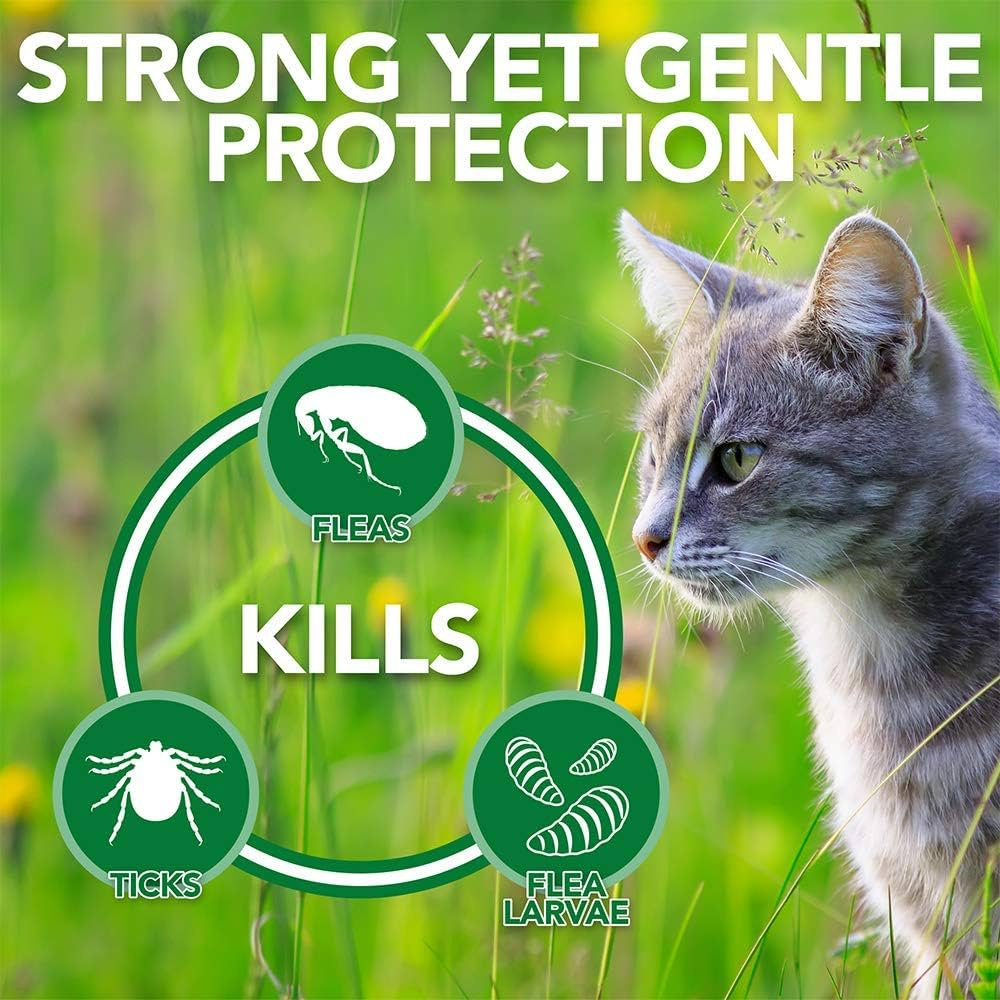 safe insect killer for pets