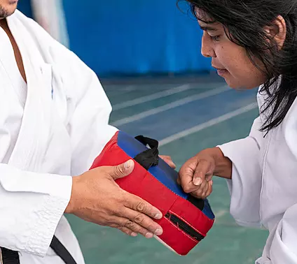 Adaptive Martial Arts