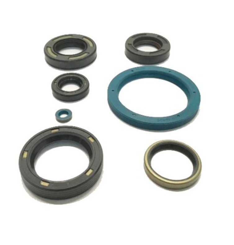 Oil Seals