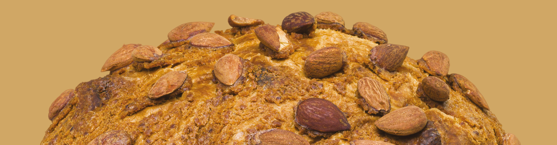 Panettone Gluten Free