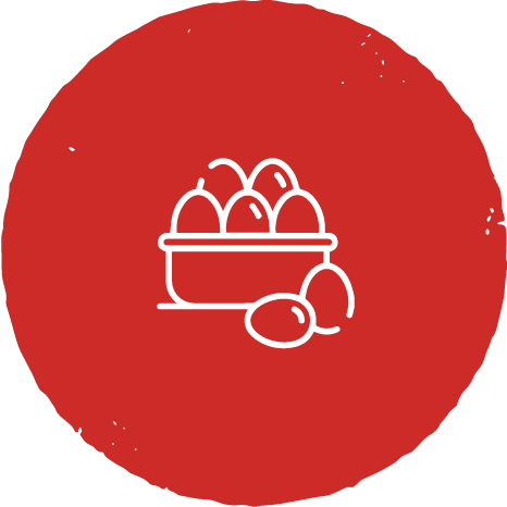 Oragnic Eggs Oragnic Eggs