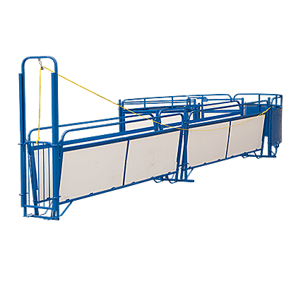 Sheep and Goat Handling