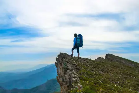 View All