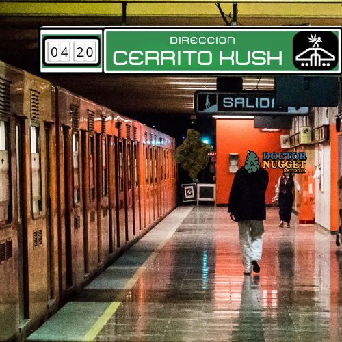 VER RESULTADOS VER RESULTADOS