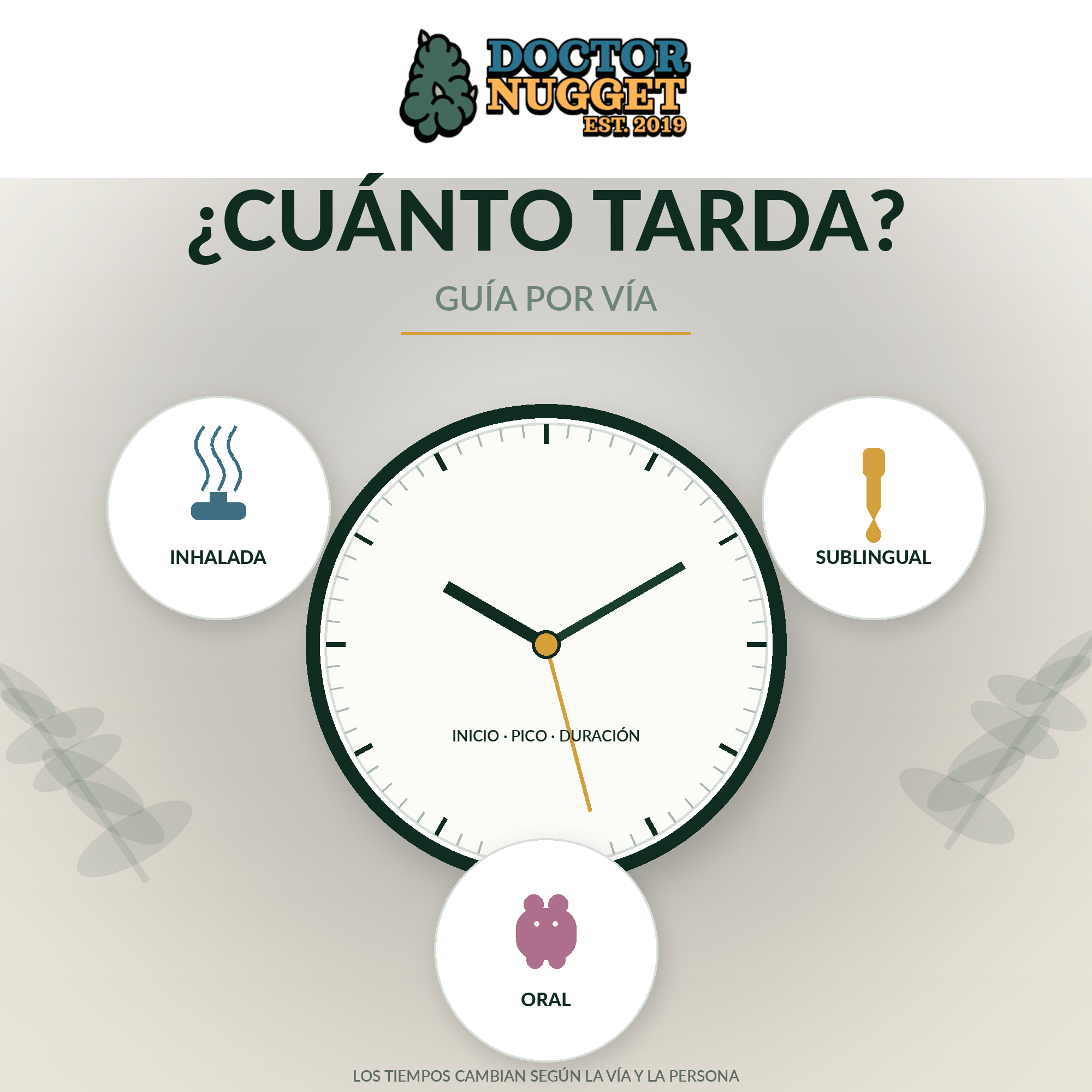 Reloj e iconos de las vías inhalada, sublingual y oral del cannabis Reloj e iconos de las vías inhalada, sublingual y oral del cannabis