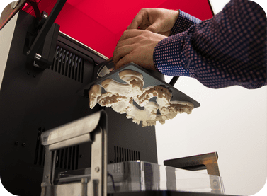 Asiga Pro 4K 3D Prints Asiga Pro 4K 3D Prints