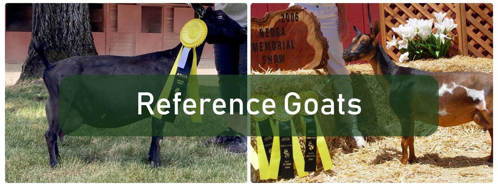 Reference Goats 