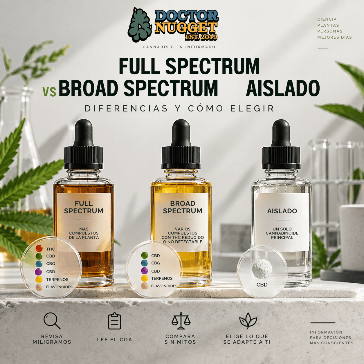full spcetrum cbd full spcetrum cbd