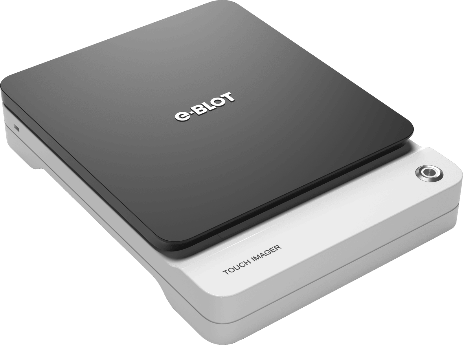 Western Blot Imaging Western Blot Imaging