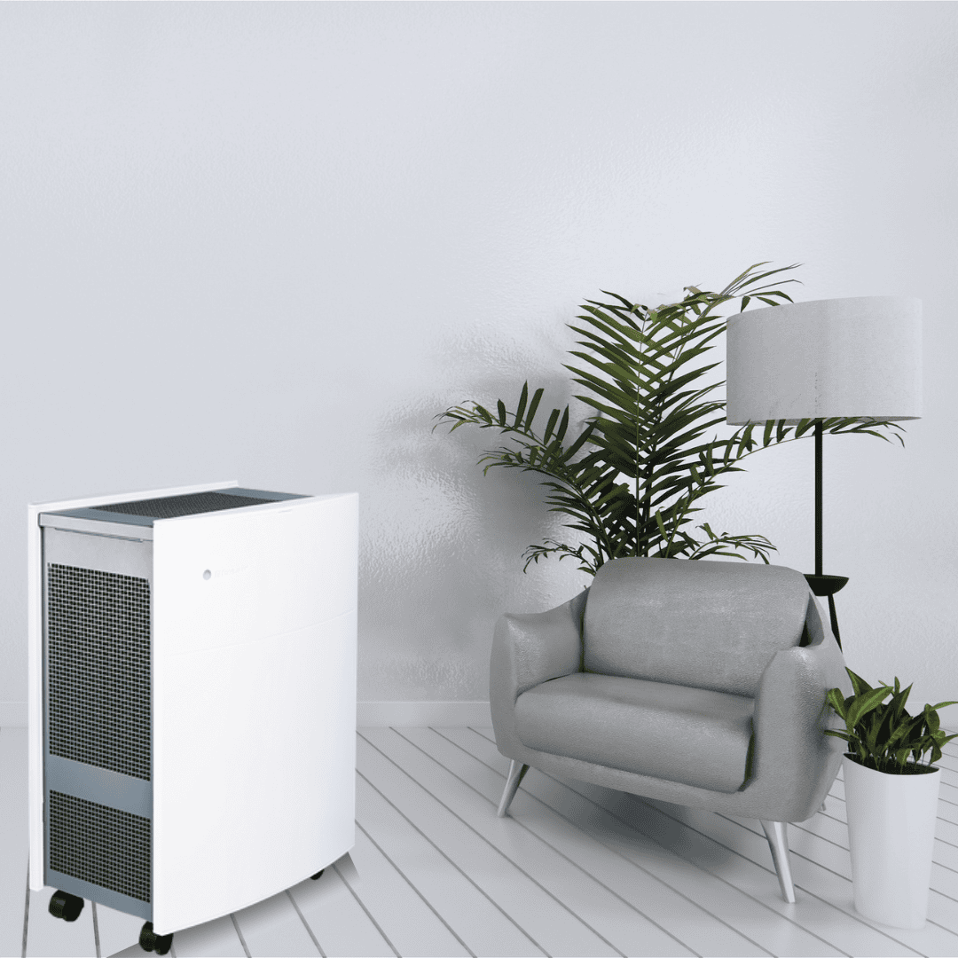 AIR PURIFIER VS. HUMIDIFIER
