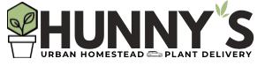 Hunny’s Urban Homestead