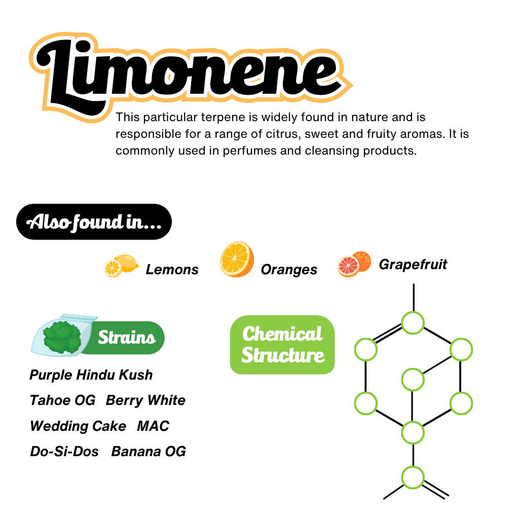 Limonene Terpene Infographic Limonene Terpene Infographic