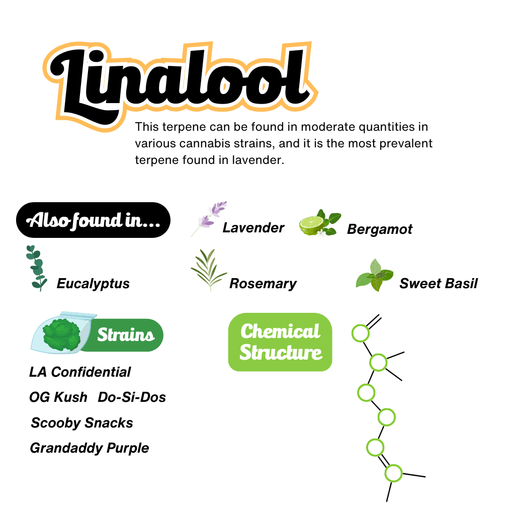 Linalool Terpene Infographic Linalool Terpene Infographic