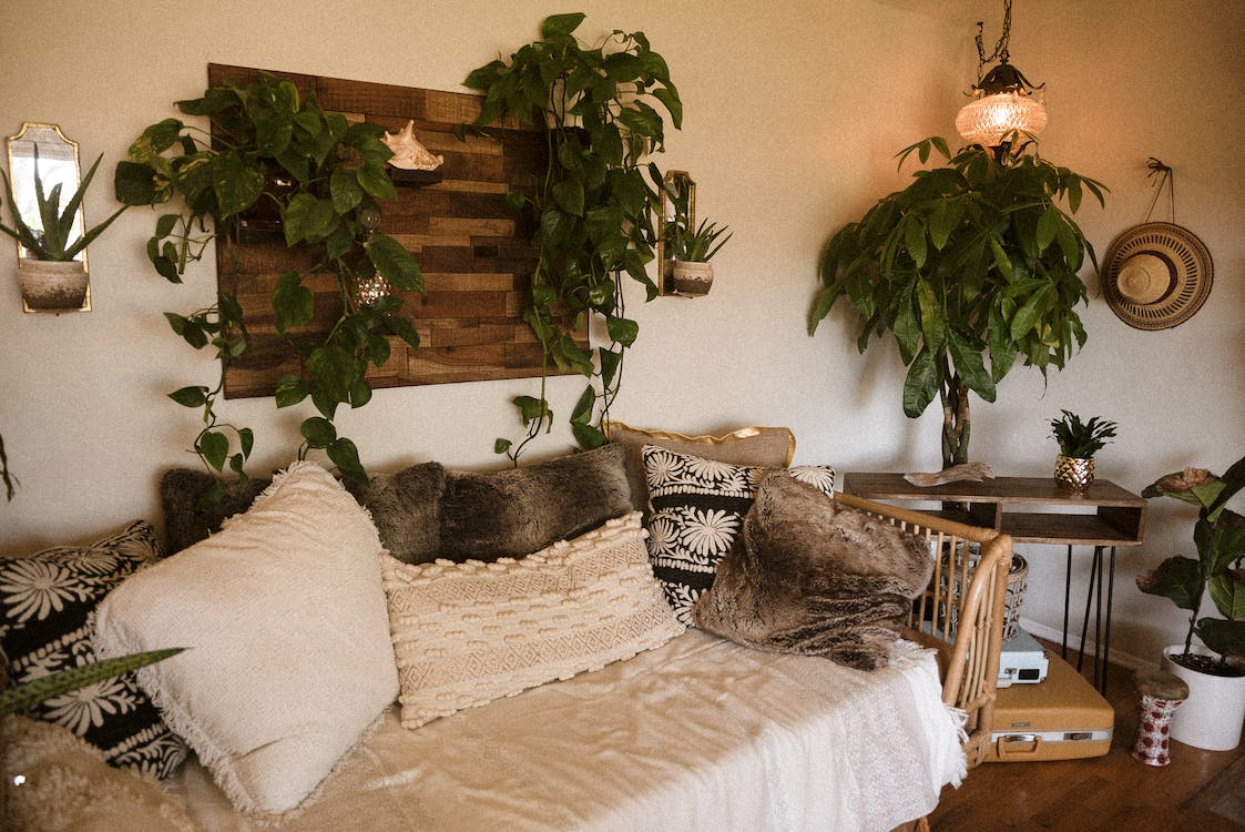living decor with natural elements of wood and plants living decor with natural elements of wood and plants