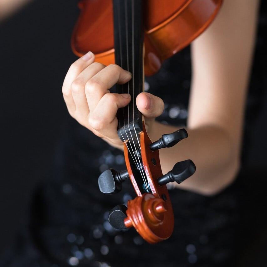 Intermediate violins