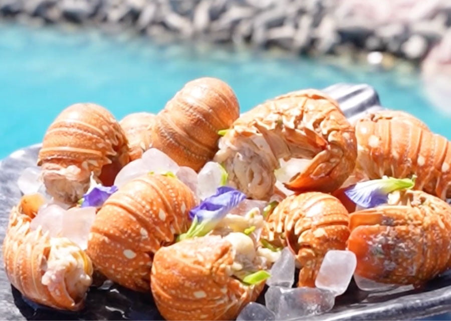 Luxury lobster display served on ice as part of an LOriental premium seafood buffet at a Luxury Yacht catering event Luxury lobster display served on ice as part of an LOriental premium seafood buffet at a Luxury Yacht catering event