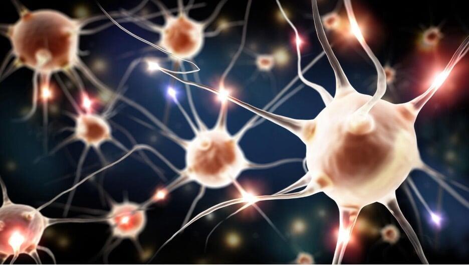 Illustration showing peripheral nerve regeneration and repair following therapeutic intervention