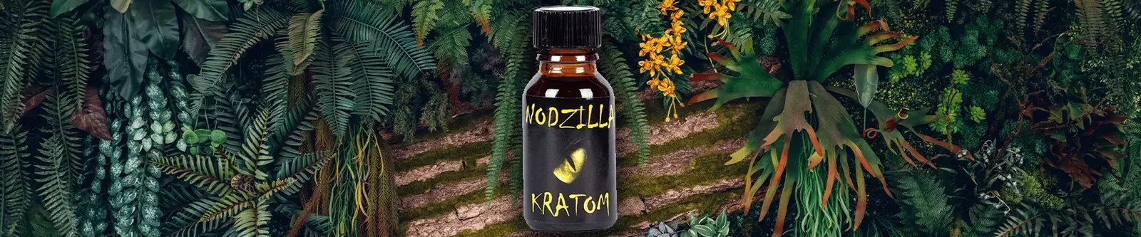nodzila nodzila