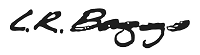 LR Baggs