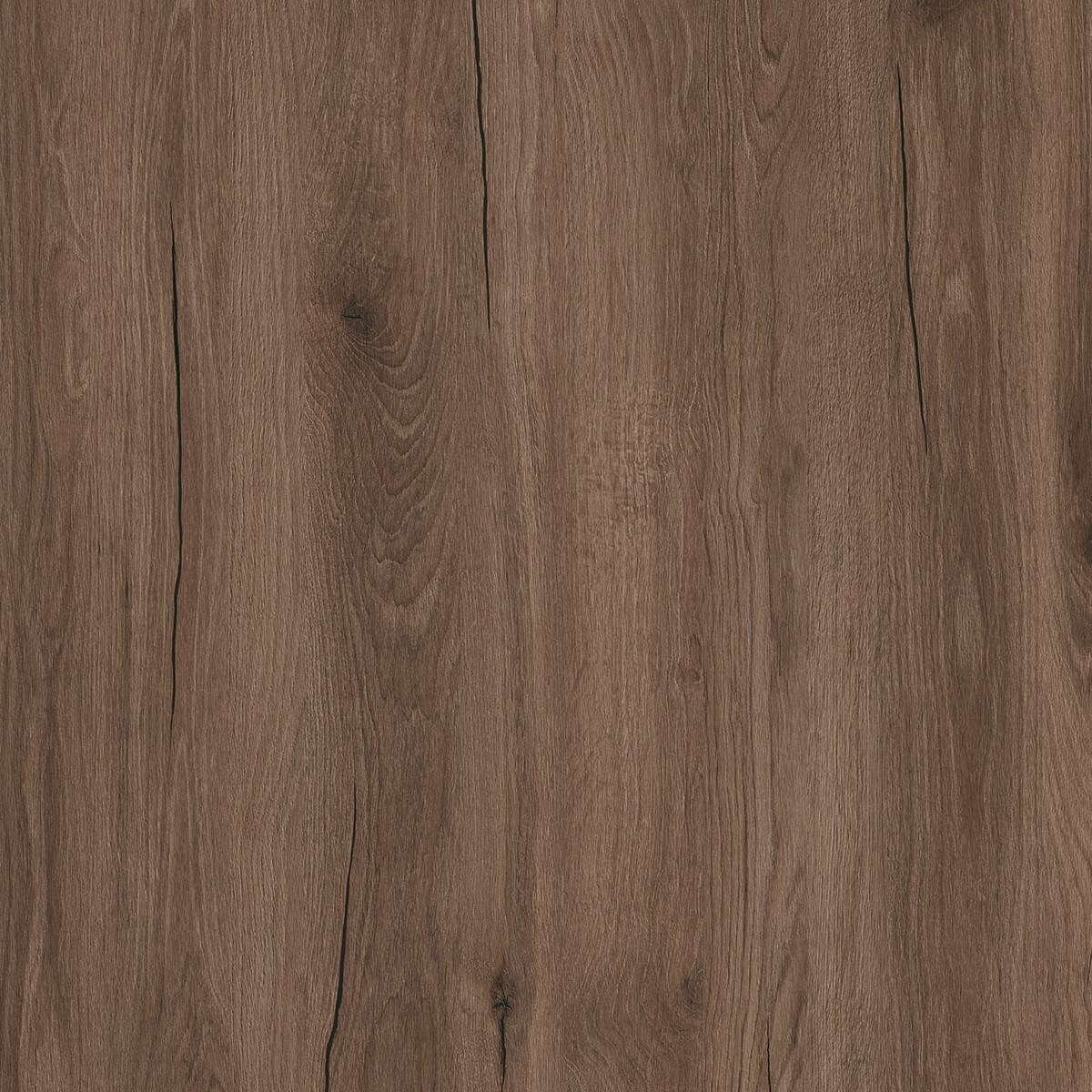 K554 Oak