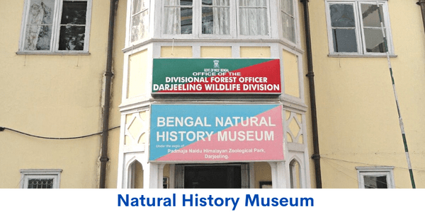 Natural History Museum