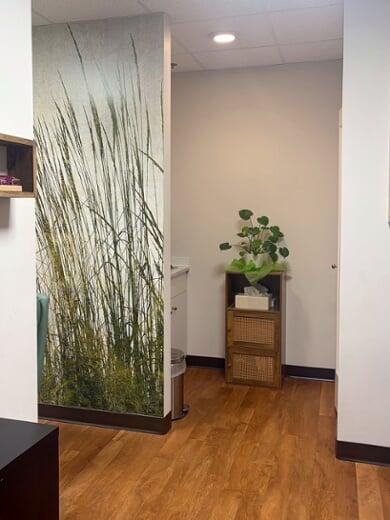 Calm hallway with a tall grass mural and wood floors at Vancouver Green Spa in downtown Vancouver