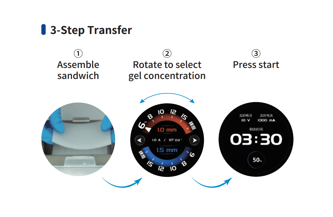 3-Step Transfer