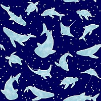 Blue Sea Life Collection - Contoured Front Blue Sea Life Collection - Contoured Front