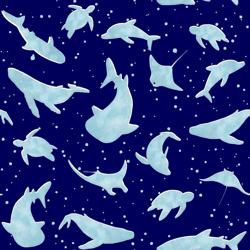 Blue Sea Life Collection - Contoured Front Blue Sea Life Collection - Contoured Front